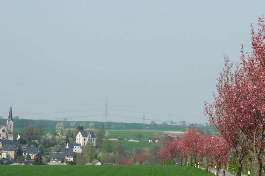 56527 - foto 23