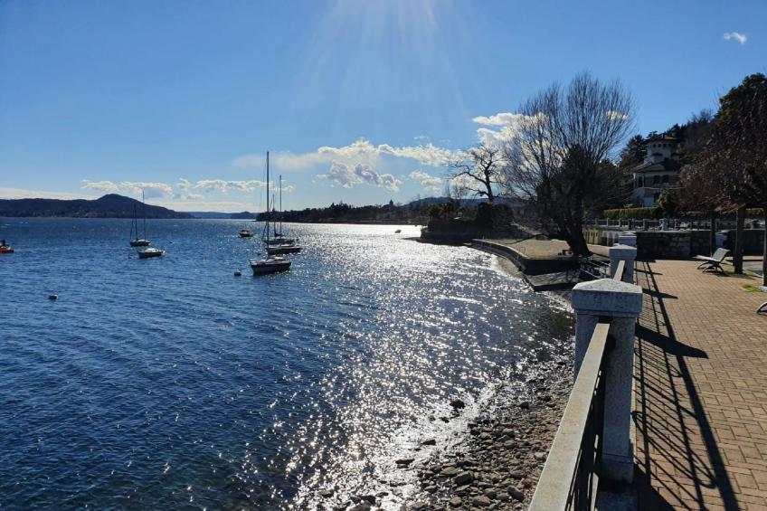 Van Gogh 2 - foto 22