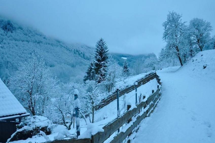 Flössersteighütte - foto 31