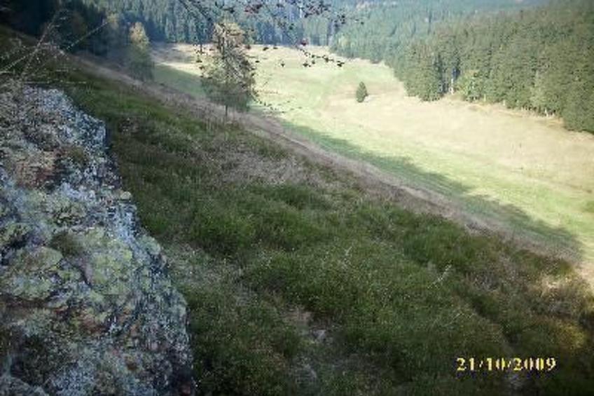 Fam. Sauer - foto 16