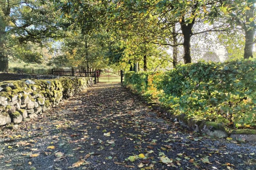 Cottage "James Tymon" mit Terrasse und Garten - foto 26