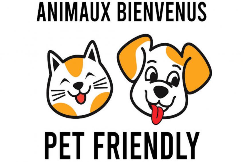 Studio à Mollans sur Ouvèze - foto 3