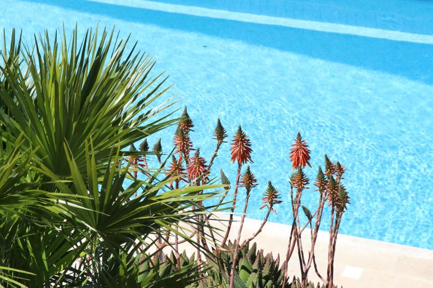 Wohnung "Mesomax RDC" in Strandnähe mit Meerblick - foto 29