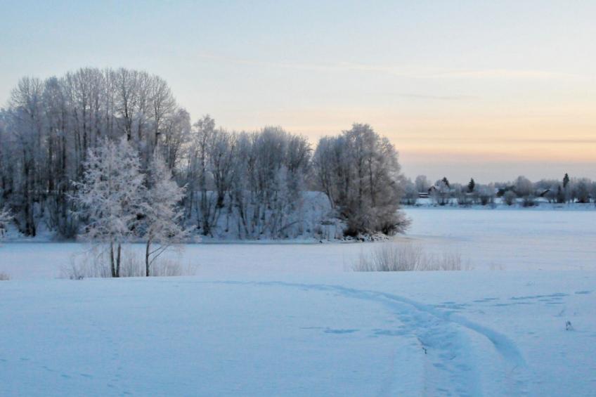 Grand villa kemijoki - foto 26