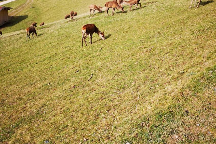 Fewo Rheinfeld - foto 13