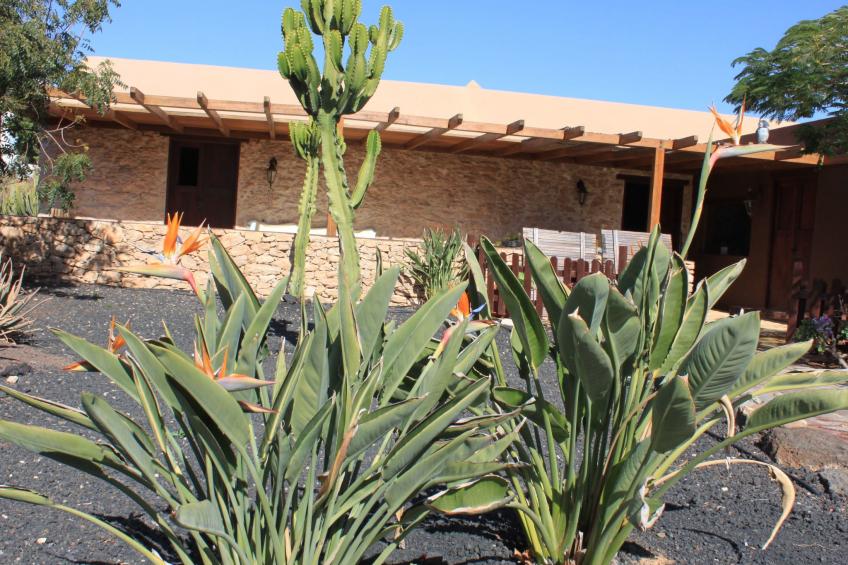 Kanarisches Haus mit privatem Pool und Garten - foto 4