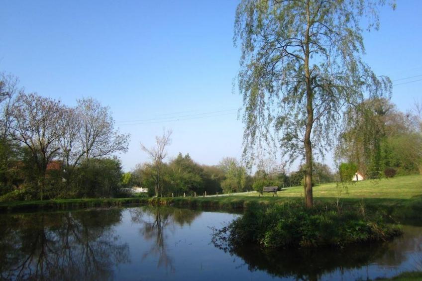 Estate "Le Pressoir" (Die Kelterei) - foto 23