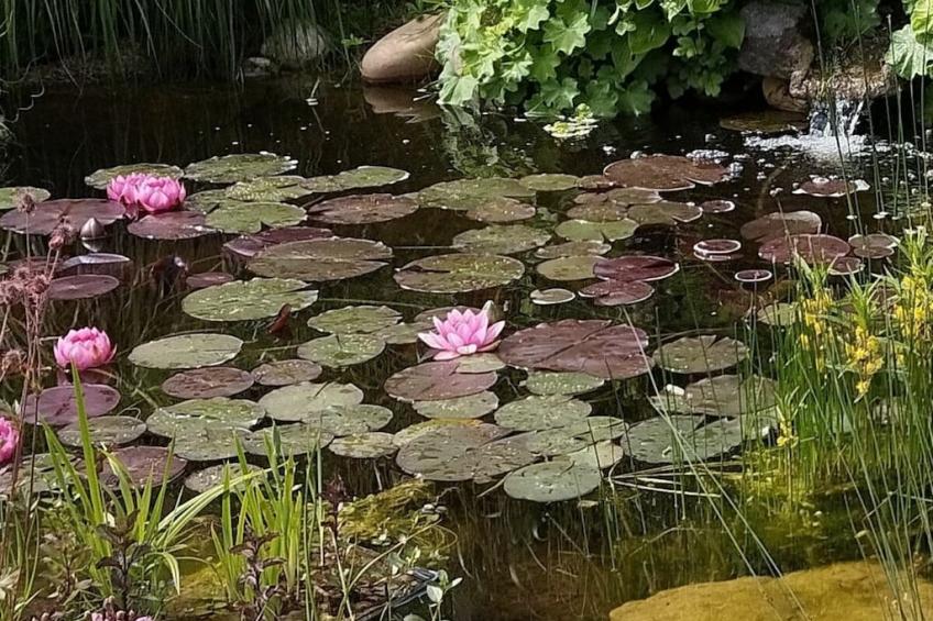 260738 - foto 4