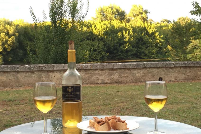 Schloss mit Überlaufpool an der Dordogne - foto 44