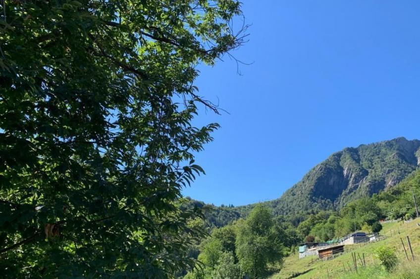 Tausend Steine Haus - foto 28