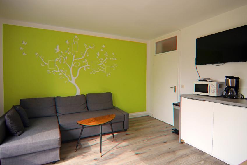 Vakantiewoning, Braunlage - Type A - foto 10
