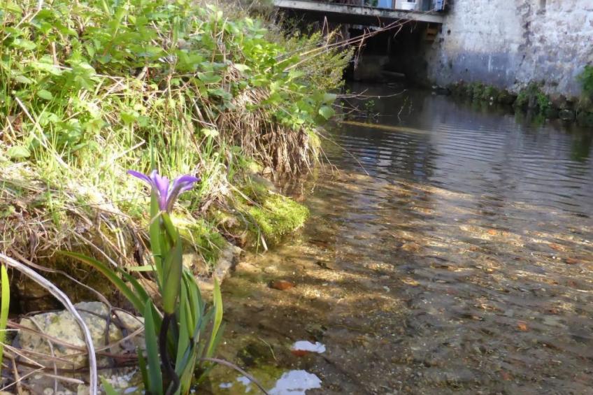 The Water Mill of Tourteron - foto 32