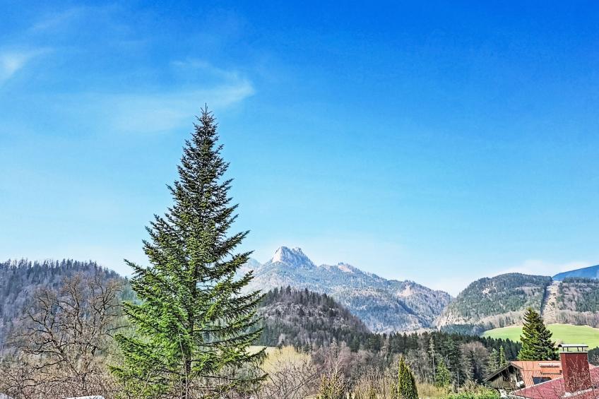 Wohnung 413 Bergblick - foto 43