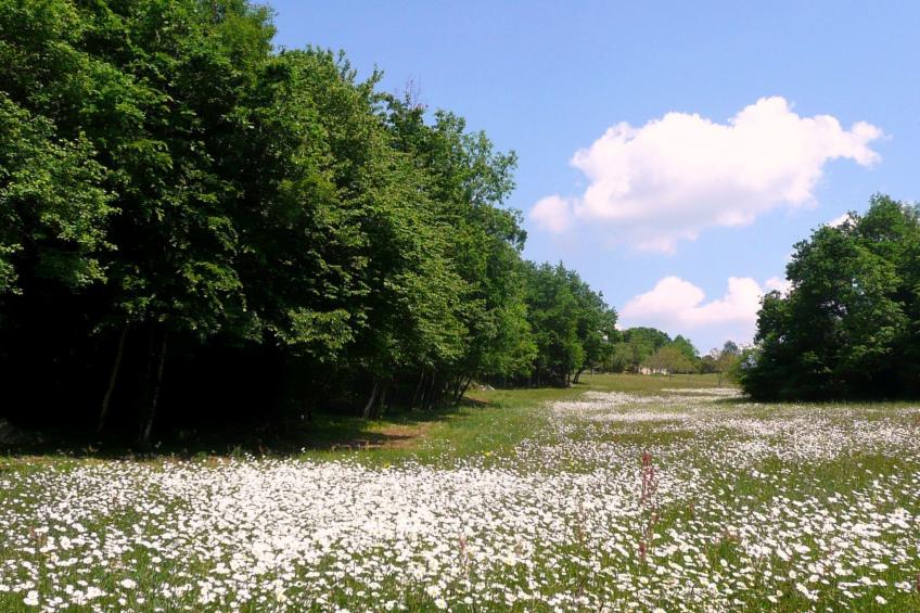 Feriendorf im Périgord - Villa 4-6 pers. - foto 31