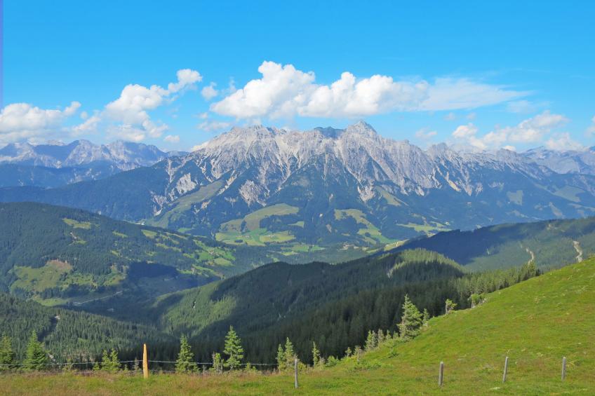 Kirchenblick - foto 37