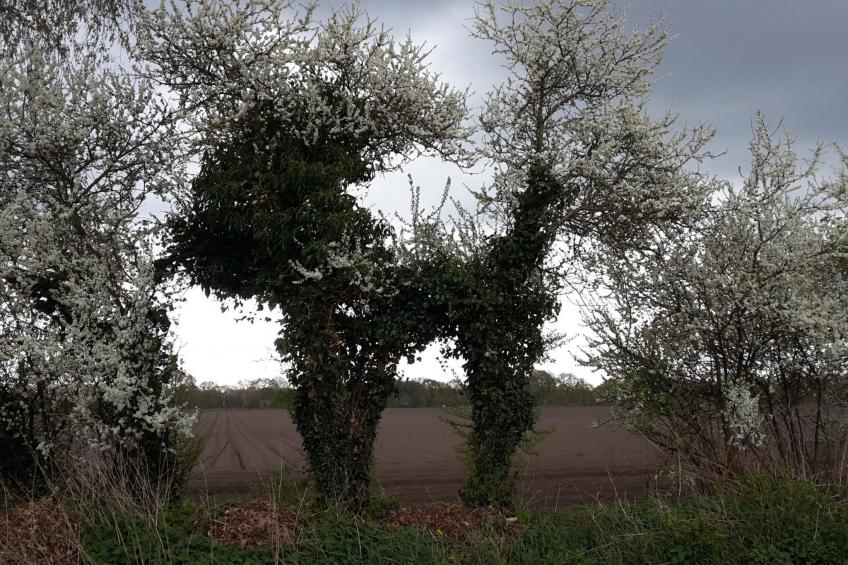 Appartement mit Wallbox - foto 48