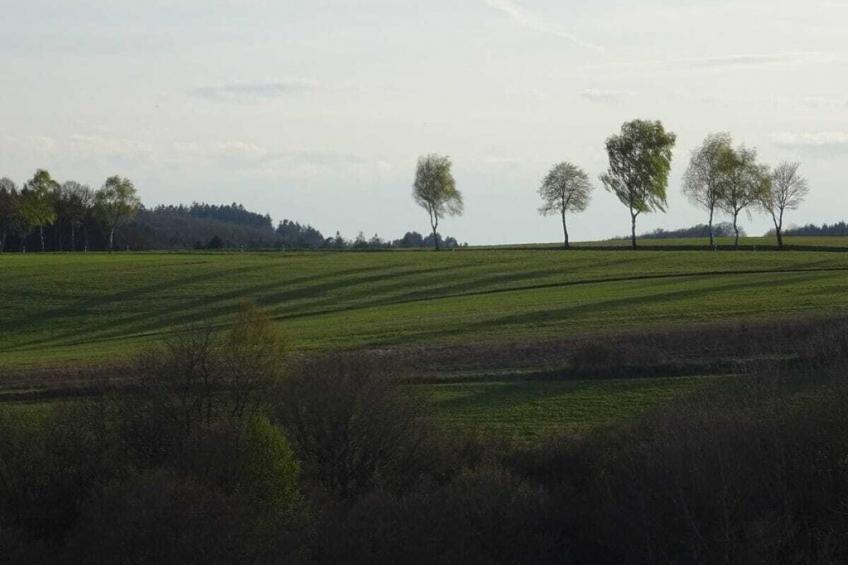 198068 - foto 19