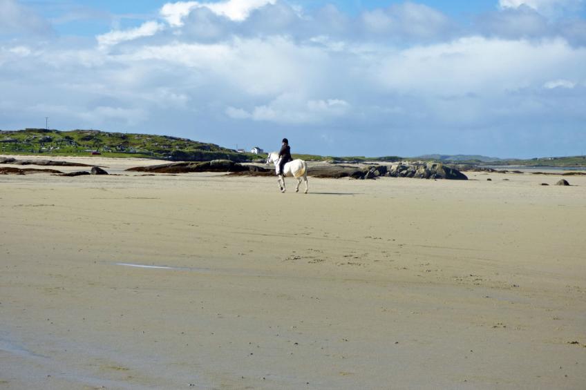 Bridies Holiday Cottage Roundstone - foto 19