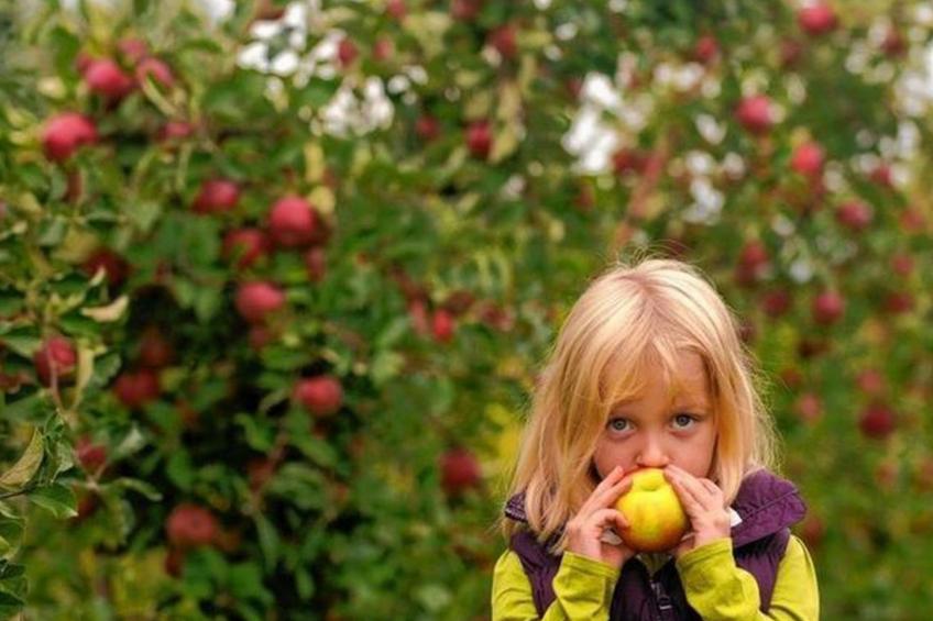 Schönes Haus in Sparrow Bush mit privatem Parkplatz und Bergblick - foto 37