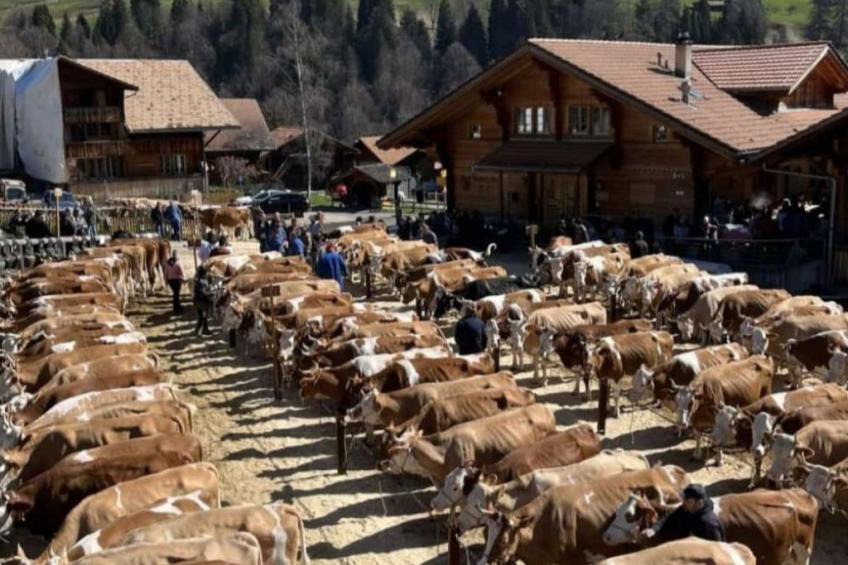 Fewo Wychelboden - foto 9