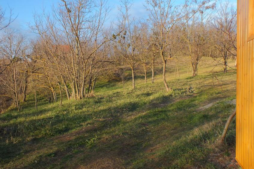 Müllers Ferienhaus Weinbergalm zum Wohlfühlen - foto 8