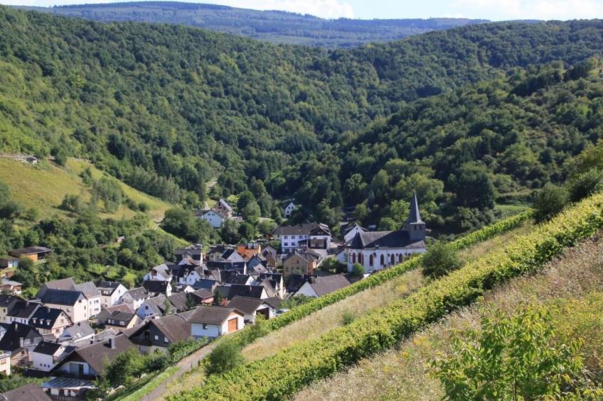 am Bach - foto 29