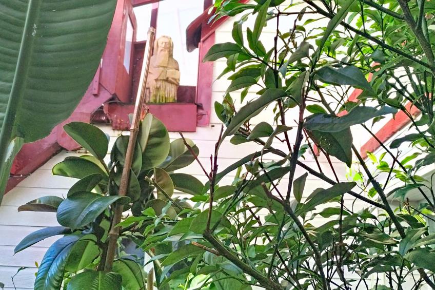 Le Nautilus - foto 28