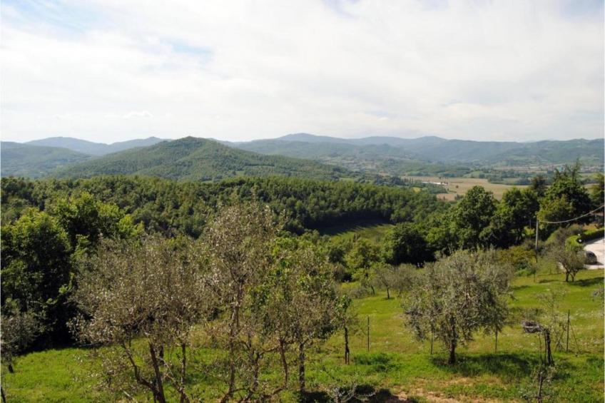 Casa Monte - foto 37