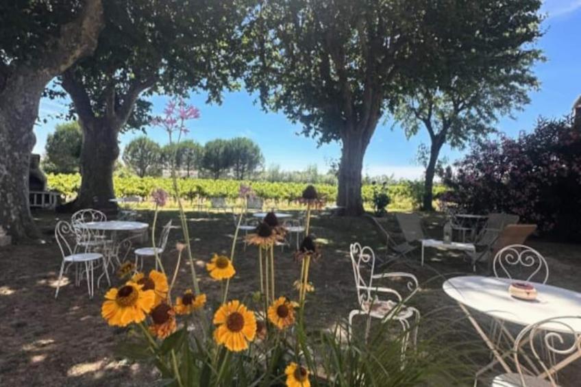 Résidence Gîte Du Mas - Charmant Gîte Provençal Avec Jardin Commun - foto 33