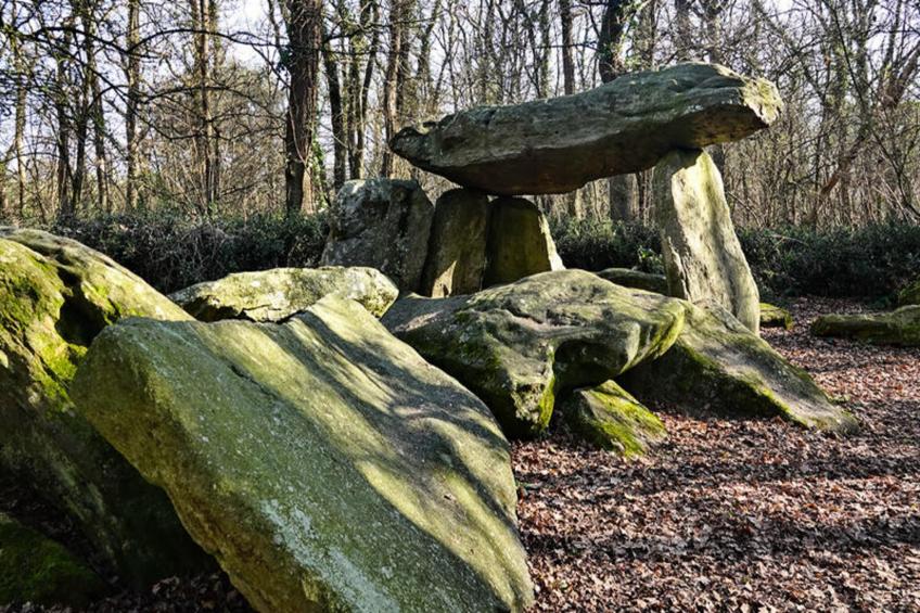 Maison à Commequiers - foto 20