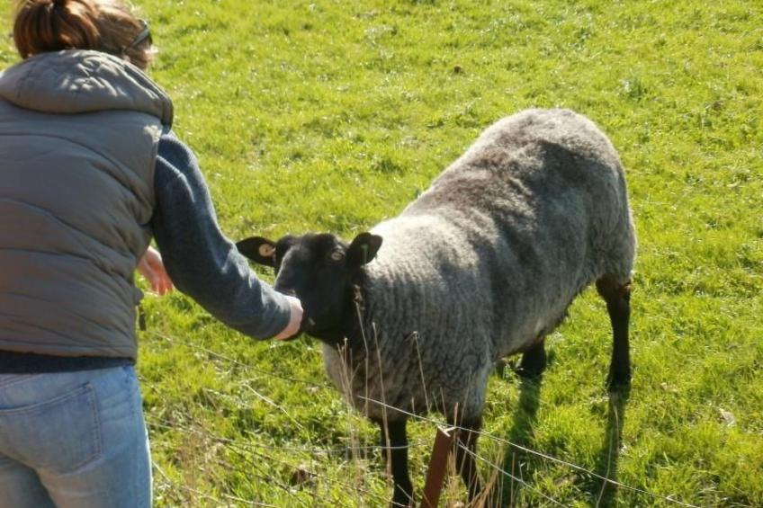 Nice Holidays - foto 8