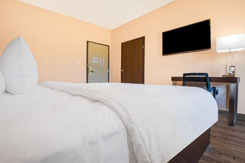 Suite - King Bed Non - Smoking - foto 20