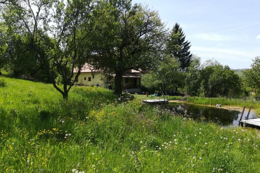 mit biologischem Schwimmteich - foto 19