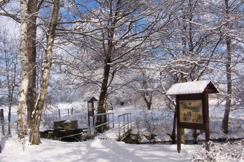 Wohnung in Niedergurig mit Grill, Sauna und Gart - foto 25