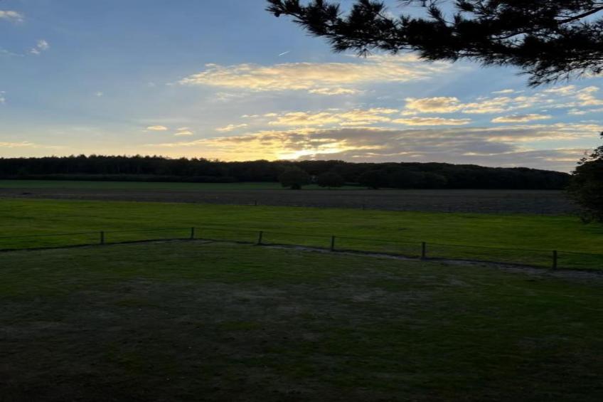 Vakantiepark De Lochemse Berg 2 - foto 17