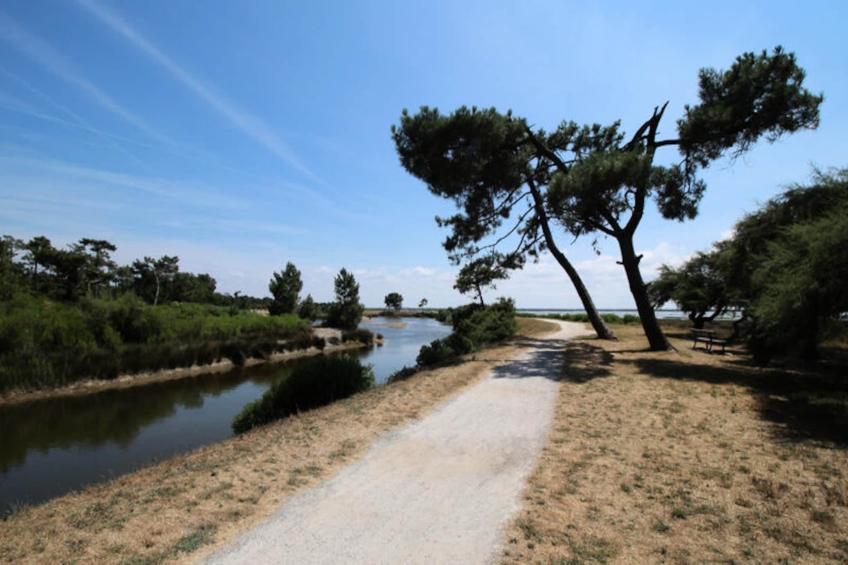 Maison à Lanton - foto 19