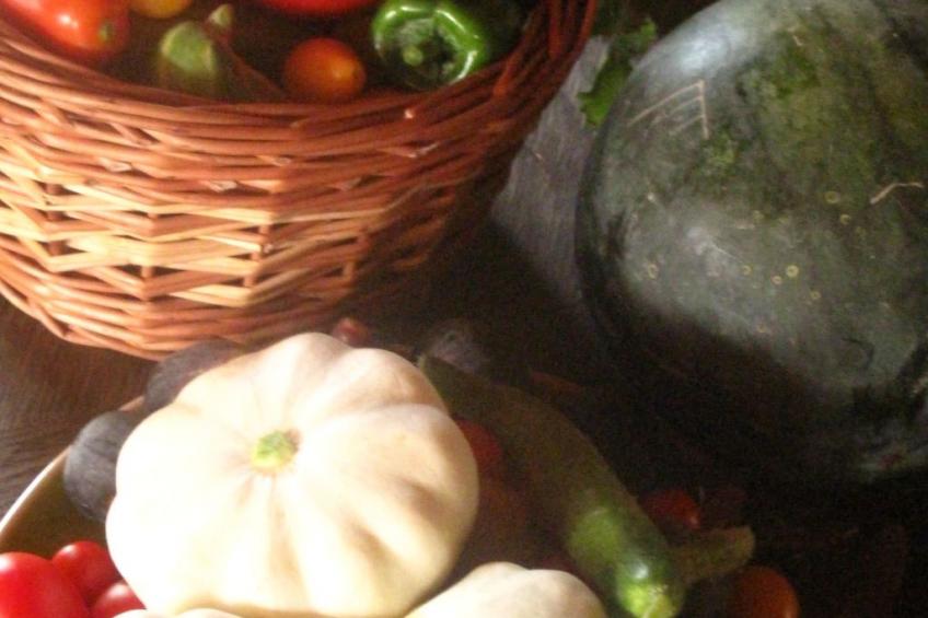 mit privatem Pool in üppiger Umgebung - foto 15