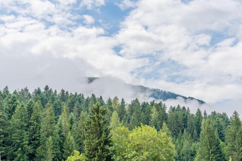 Pension Blaiken L - foto 6