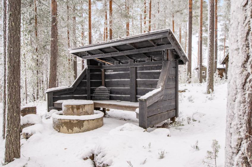 Kanervankukka - foto 23