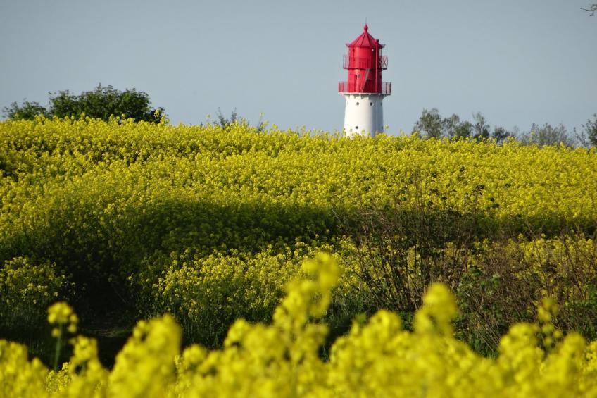 Geltinger Bucht - foto 35