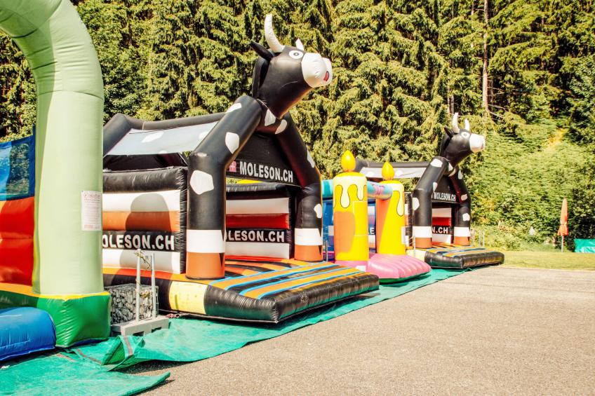 Le Chamois - foto 29