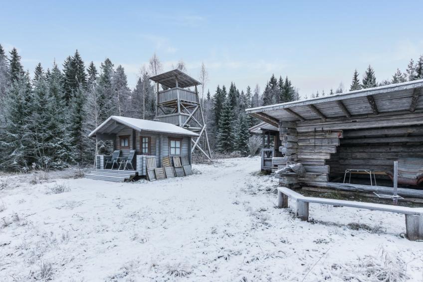 Käenpesä - foto 26