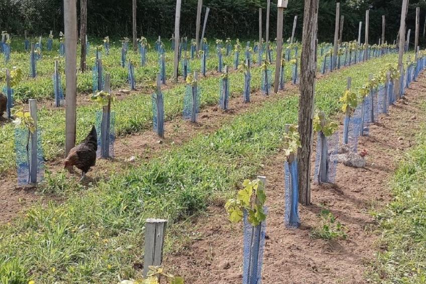 Die Domaine de Kerampape - foto 13