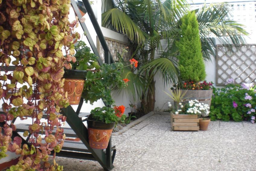 Touristenwohnung "Apartment" mit Terrasse - foto 27