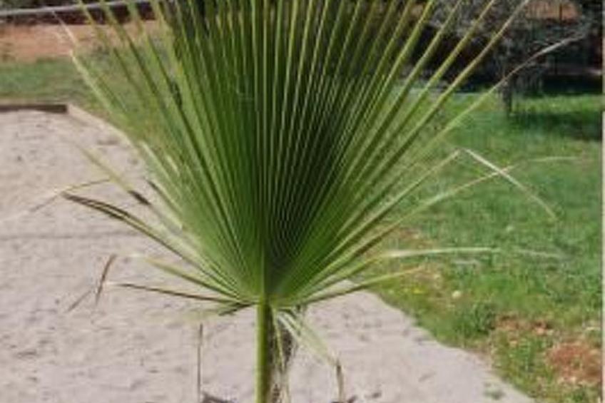 "Cigale" mit Pool - foto 31