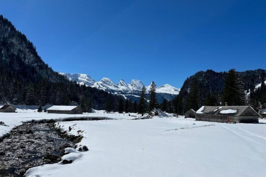 Chäserruggblick - foto 20