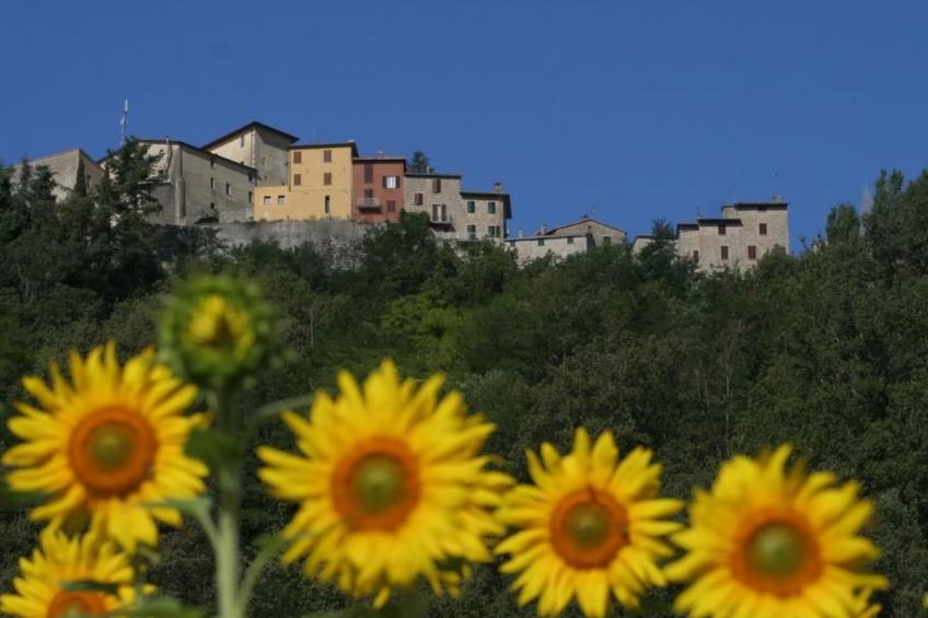 Ariete - foto 21