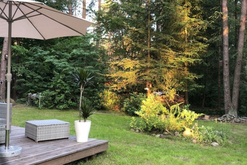 Reetdach Ferienhaus am Lübbesee Sauna Bootsteg neu - foto 6