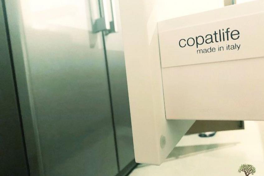 La Finca OliveTree - foto 13