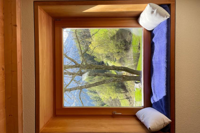 Maiensäss La Scera - foto 9